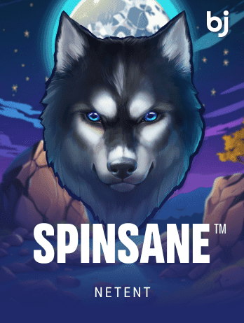 Spinsane screenshot